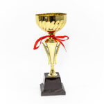 Champion Cup Trophy large