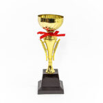 Champion Cup Trophy small