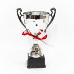 Silver Cup Trophy + Ribbon (medium)