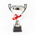 Silver Cup Trophy + Ribbon (small)