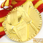 60mm Gold Cricket Medal with Ribbon