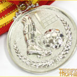 50mm Silver Soccer Medal with Ribbon