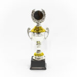 Silver & Gold Cup Trophy with Wreath (Large)