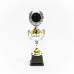 Silver & Gold Cup Trophy with Wreath (Small)