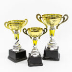 Olympic Cup Trophy Combo
