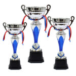 Sapphire Silver & Blue Cup Trophy Combo Set