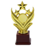 Gold Star Award Trophy - Large