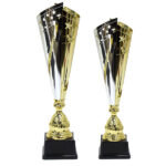 Iconic Gold & Silver Star Trophy - Combo