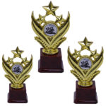 Go-Kart Gold Star Award Trophy Combo Set
