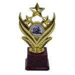 Go-Kart Gold Star Award Trophy - Large