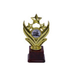 Go-Kart Gold Star Award Trophy - Small