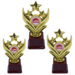 Motorsport/Car Show Gold Star Award Trophy Combo Set