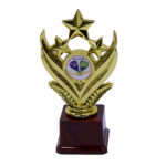 Paddle Gold Star Award Trophy  - Large