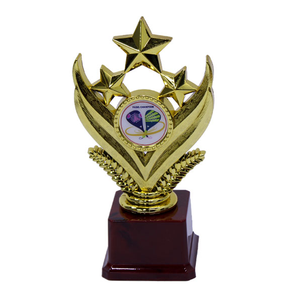 EX012-A-PADDLE-LARGE Paddle Gold Star Award Trophy - Large - Image 1