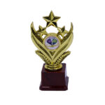 Paddle Gold Star Award Trophy - Medium