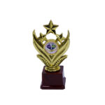 Paddle Gold Star Award Trophy - Small