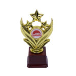 Motorsport/Car Show Gold Star Award Trophy - Medium