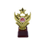 Motorsport/Car Show Gold Star Award Trophy - Small