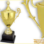 Gold Metal Cup Trophy with Cover