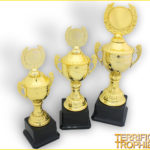 Winners Series Trophy Combo Set
